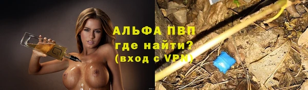 MESCALINE Покачи