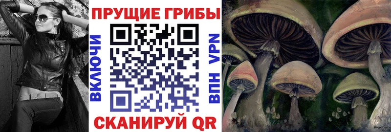 Псилоцибиновые грибы GOLDEN TEACHER  Мантурово 